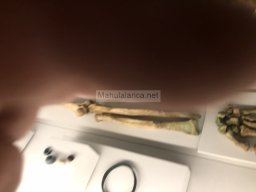 Tumba de la Almoloya 2022